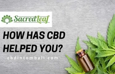 Sacred Leaf Tomball