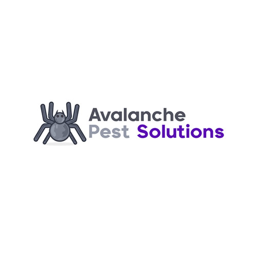 Edinburg Pest Control Tx