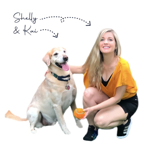 Fetch Worthy Dog Training