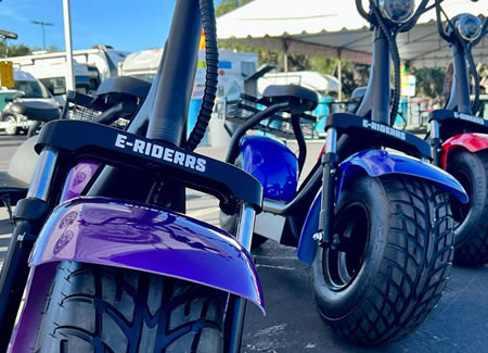 e-Riderrs Electric Bikes