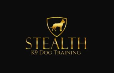 Stealth K9 Dog Training