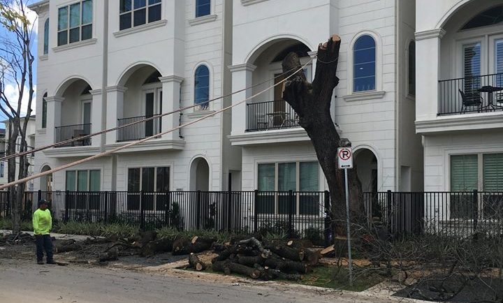 Highpoint Tree Care