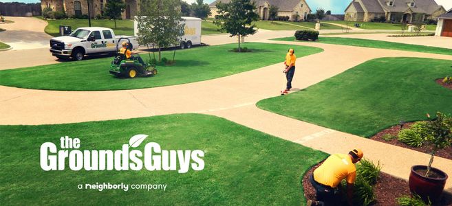The Grounds Guys of Frisco
